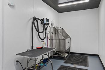Pet wash station